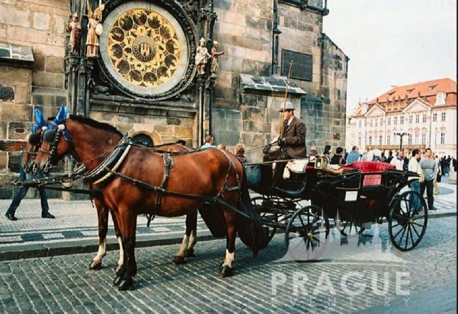 GroupPragueTransportation HorseDrawnCarriages